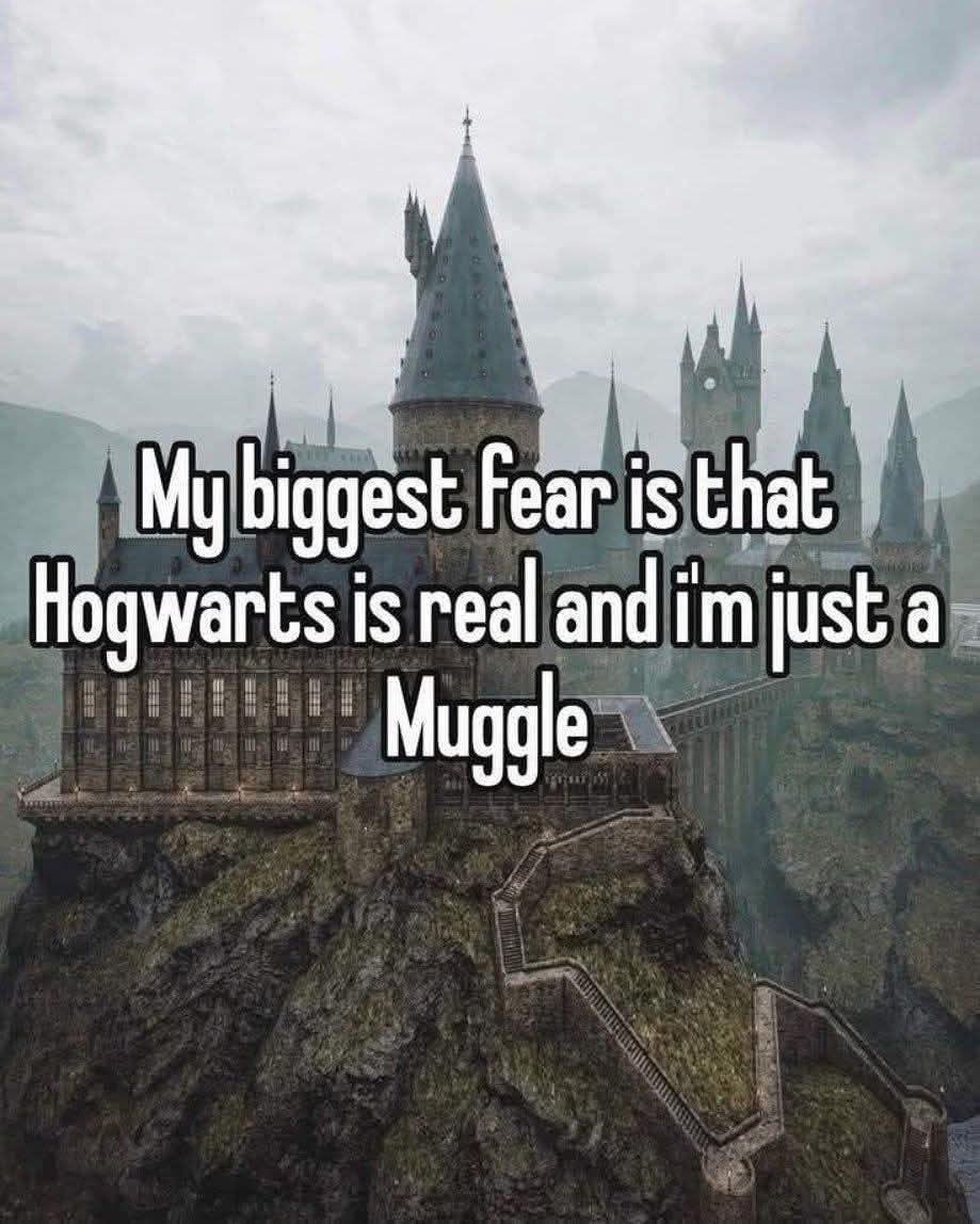You're Not Alone - The Muggle Struggle is Real