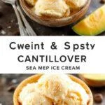 A bowl of creamy cantaloupe sea salt ice cream garnished with a sprinkle of sea salt and fresh mint, set on a sunny summer table.